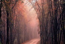 西甲拉斯帕尔马斯对阵皇马，谁能在这场较量中占据上风？